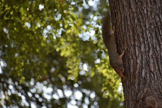 力和实力的 力和实力的
