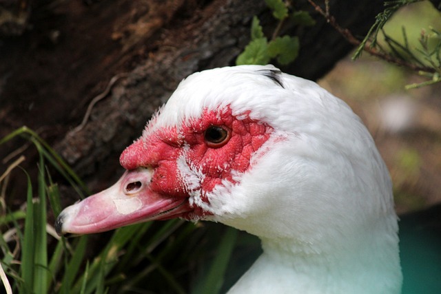 2024年以工代赈带动332万名低收入群众就近务工.