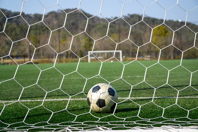 赛引入自己 赛引入自己