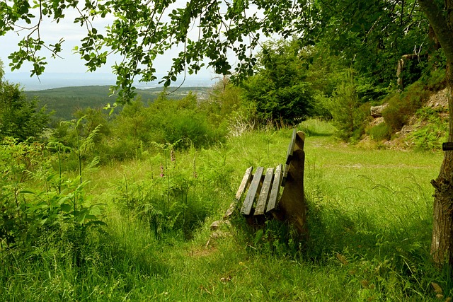 老年人的专 老年人的专