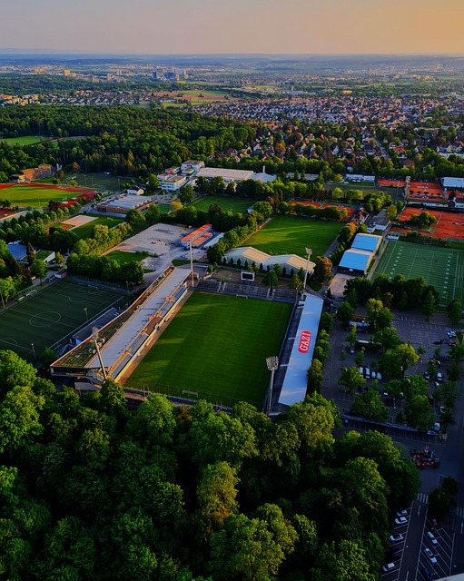 得的得分较 得的得分较