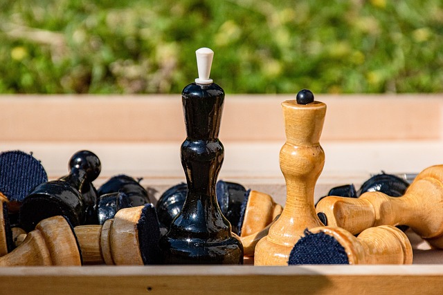 一次革命性 一次革命性